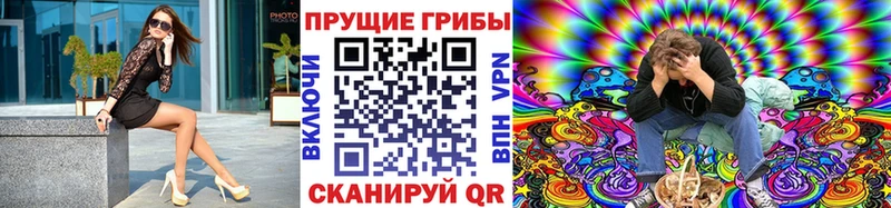 Псилоцибиновые грибы Psilocybine cubensis  блэк спрут   Бородино 